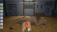 My Vet Practice in the Zoo 