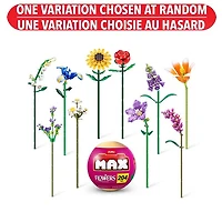 Max Flowers Collection – One Variation Chosen at Random