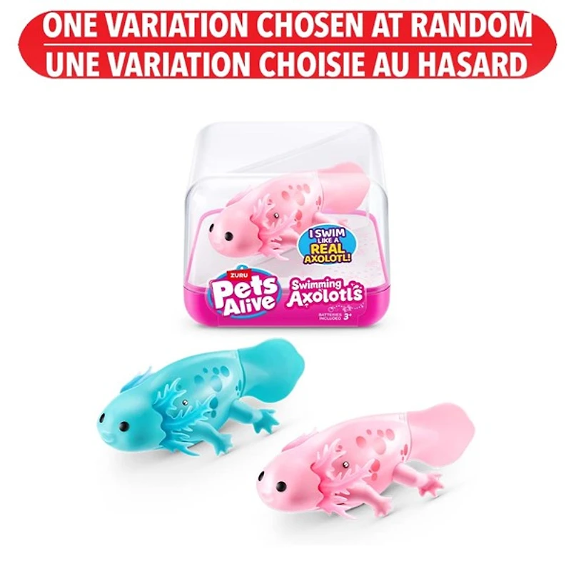 Pets Alive Swimming Axolotl's – One Variation Chosen at Random