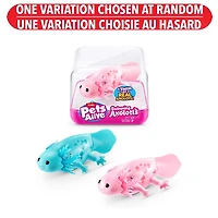 Pets Alive Swimming Axolotl's – One Variation Chosen at Random