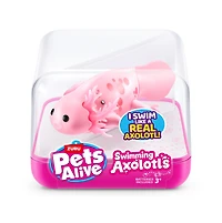 Pets Alive Swimming Axolotl's – One Variation Chosen at Random