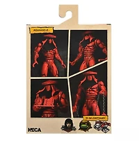 The Teenage Mutant Ninja Turtles Foot Elite Assassin Red & Black Action Figure 
