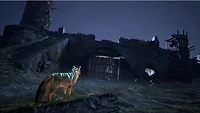 Spirit of the North 2