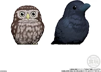 Shokugan - Tenori Friends - Tenori Friends 4 Birds – One Variation Chosen at Random