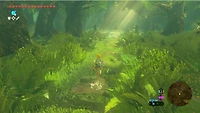 The Legend of Zelda Breath Wild