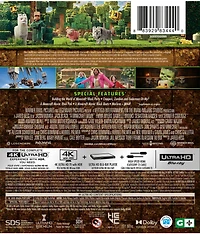 A Minecraft Movie DVD 