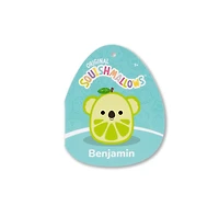 Squishmallows 12-Inch Assorted Plush – One Variation Chosen at Random