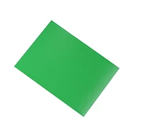 Biogenik Card Sleeves Light Green 