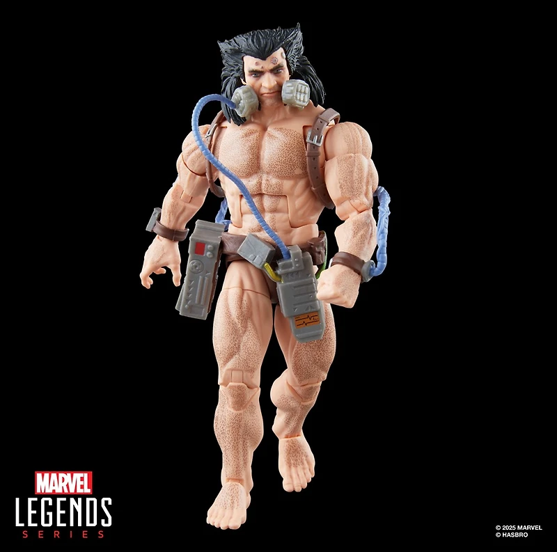 Marvel Legends Series Wolverine (Weapon X) 