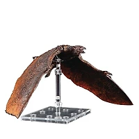 Godzilla: King of the Monsters Exquisite Basic Rodan PX Action Figure 