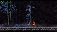 Chronicles of the Wolf 