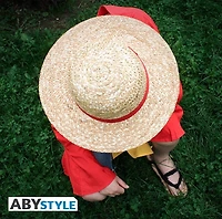 One Piece Luffy Straw Hat 