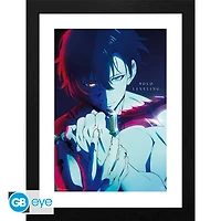 Solo Lvl Jinwoo Wall Art 