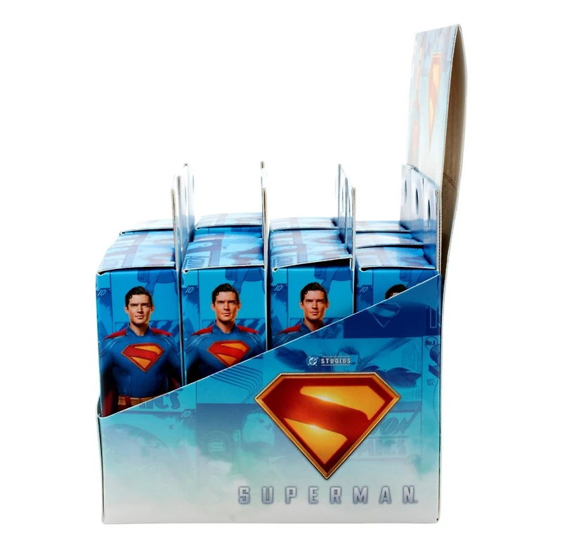 Superman Logo Blind Lapel Pin – One Variation Chosen at Random
