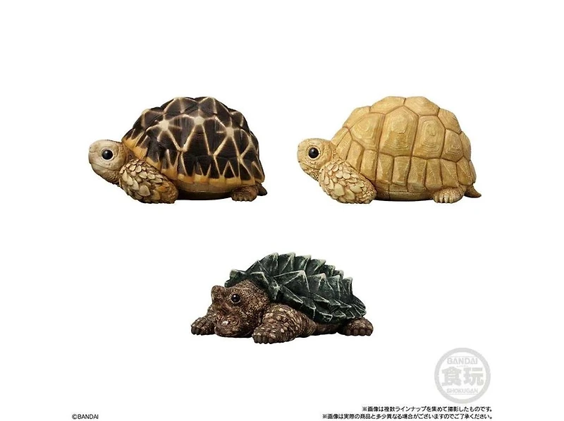 Bandai Tenori Friends 12, Bandai Shokugan Friends – One Variation Chosen at Random