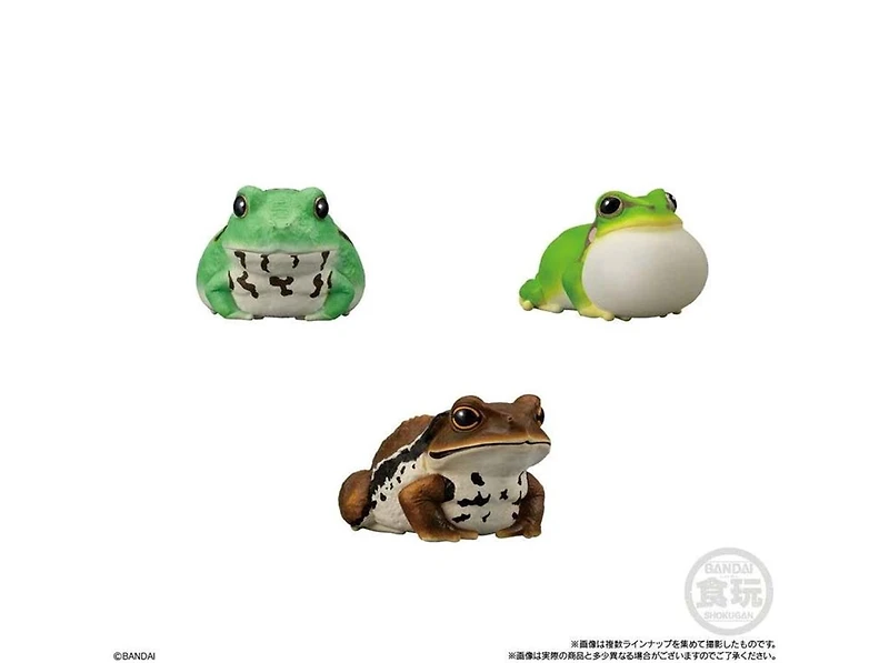 Bandai Tenori Friends 12, Bandai Shokugan Friends – Une variation choisie au hasard