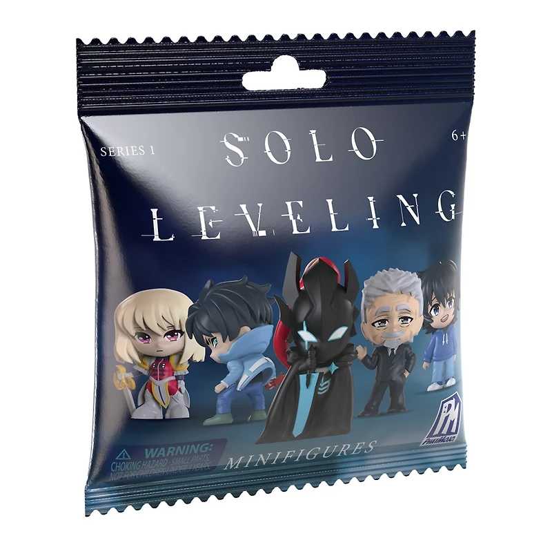 Solo Leveling Series 1 Blind Bag Mini Figure – One Variation Chosen at Random
