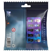 Solo Leveling Series 1 Blind Bag Mini Figure – Une variation choisie au hasard
