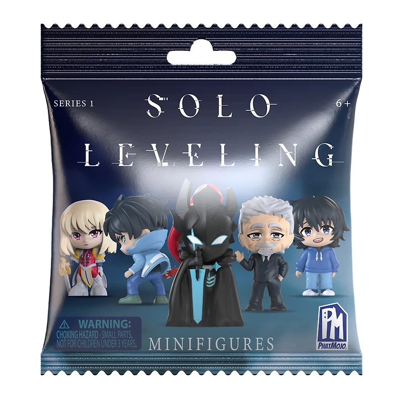 Solo Leveling Series 1 Blind Bag Mini Figure – One Variation Chosen at Random