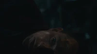 Dead Reset