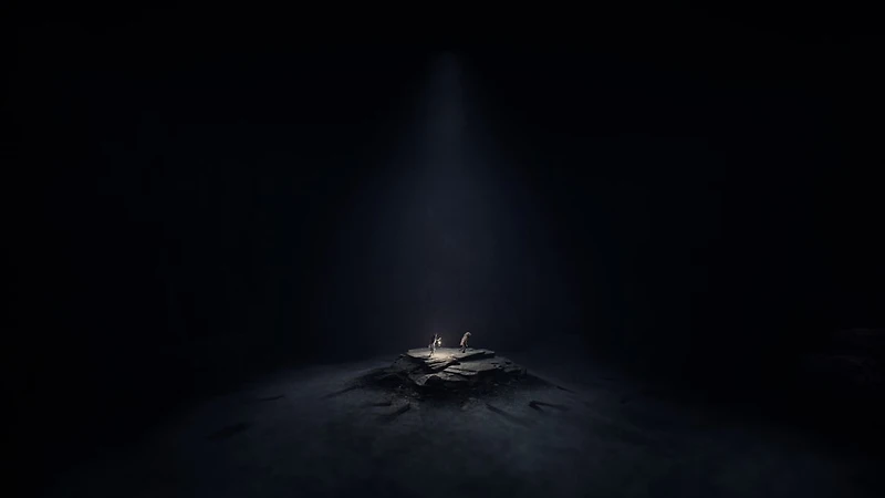 REANIMAL