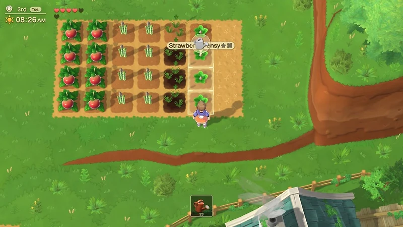 Harvest Moon: Home Sweet Special Edition