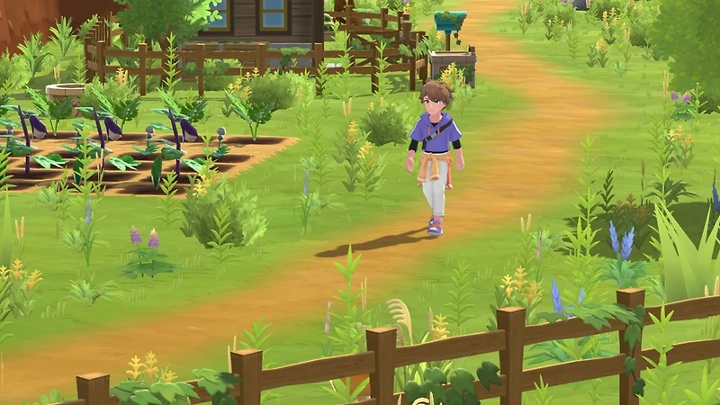 Harvest Moon: Home Sweet Special Edition