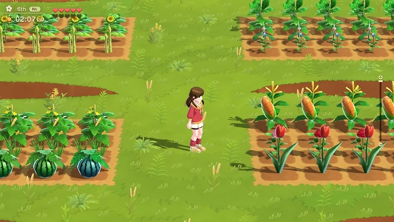 Harvest Moon: Home Sweet Special Edition