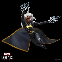 Marvel Legends Series Storm 
