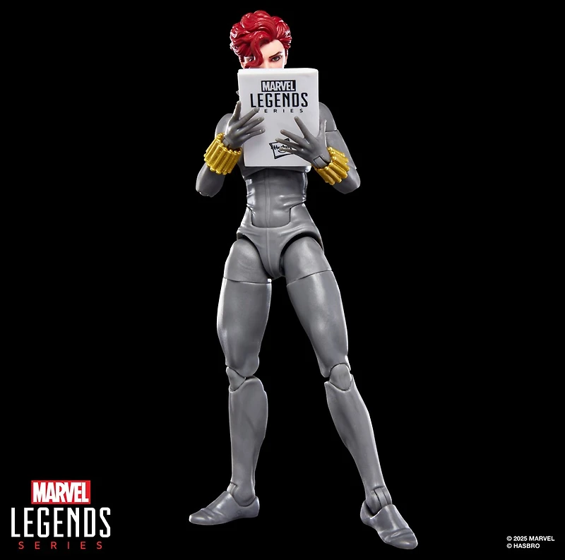 Marvel Legends Series Black Widow Action Figure 