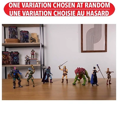 Masters of the Universe Chronicles Action Figure Assortment – One Variation Chosen at Random