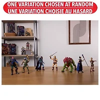 Masters of the Universe Chronicles Action Figure Assortment – One Variation Chosen at Random