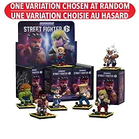 Capcom Street Fighter Series Figure Pack (10 cm) Street Fighter - Mighty Jaxx – One Variation Chosen at Random
