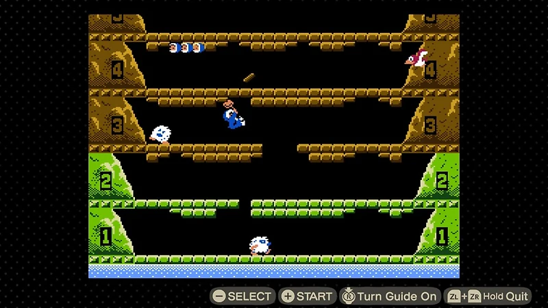 Animal Crossing: New Horizons