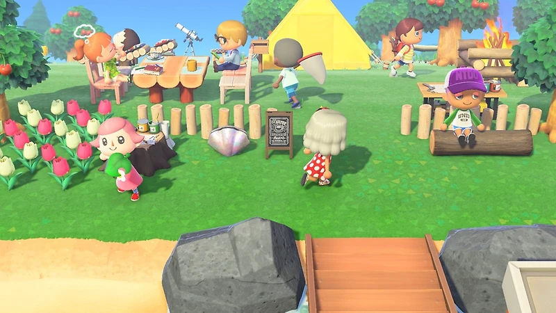 Animal Crossing: New Horizons