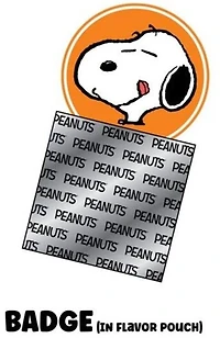 Funmaker - Rokimoto x Peanuts Wave 3 – One Variation Chosen at Random