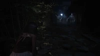 FATAL FRAME II: Crimson Butterfly REMAKE