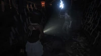 FATAL FRAME II: Crimson Butterfly REMAKE