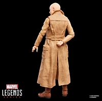 Marvel Legends Series Cassandra Nova