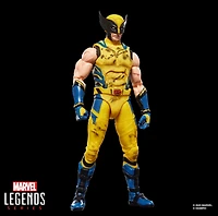 Marvel Legends Series Wolverine