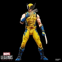 Marvel Legends Series Wolverine