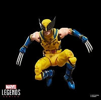 Marvel Legends Series Wolverine