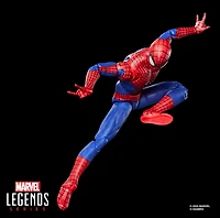 Marvel Legends Series The Amazing Spider-Man