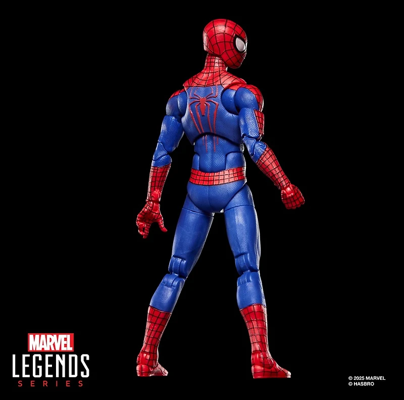 Marvel Legends Series The Amazing Spider-Man
