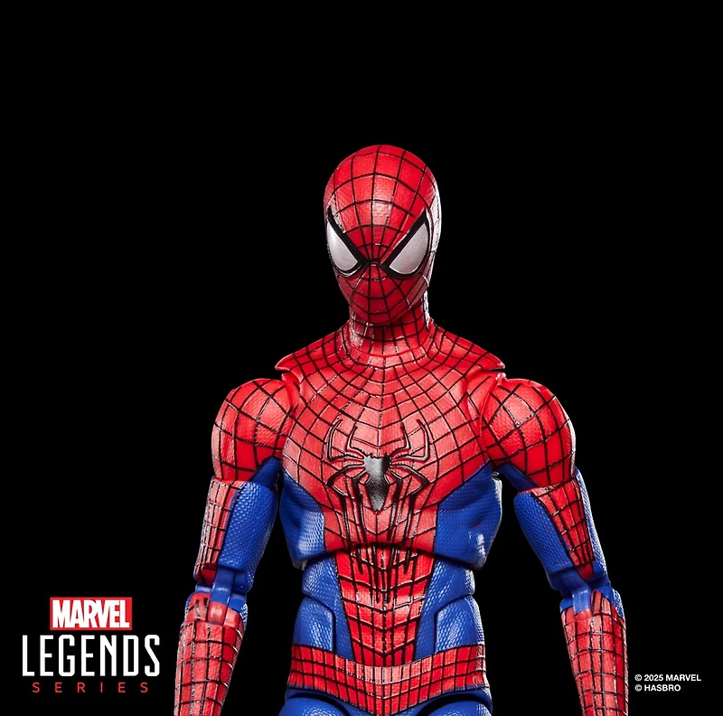 Marvel Legends Series The Amazing Spider-Man