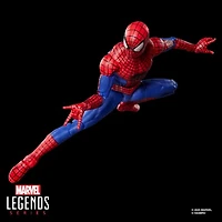 Marvel Legends Series The Amazing Spider-Man