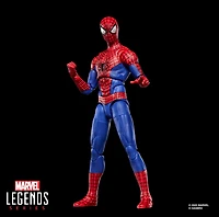 Marvel Legends Series The Amazing Spider-Man