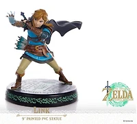 Link. The Legend of Zelda: Tears of the Kingdom