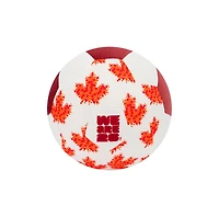 FIFA Plush Soccer Ball - Team Canada