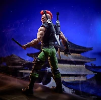 G.I. Joe Classified Series #192, Ninja Force Zartan